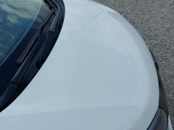 HONDA FREED G Honda Sensing 2019