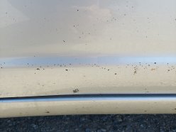 TOYOTA PROBOX GL 2020