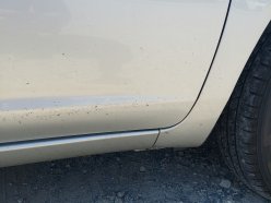 TOYOTA PROBOX GL 2020
