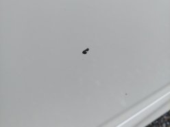 TOYOTA WISH 1.8X HID Selection 2010