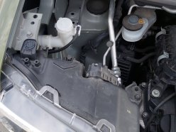 DAIHATSU TAFT G 2020