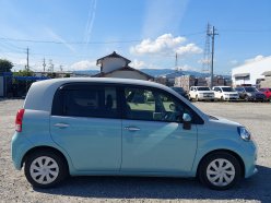 TOYOTA PORTE F 2020