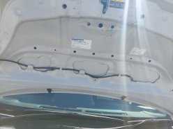 TOYOTA PORTE F 2020