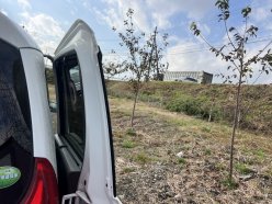 HONDA FREED G 2016