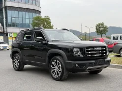 HAVAL BIG DOG  2021