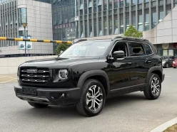 HAVAL BIG DOG  2021