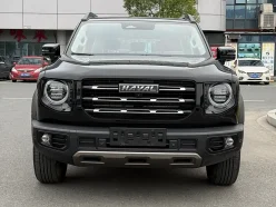 HAVAL BIG DOG  2021
