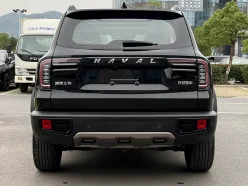 HAVAL BIG DOG  2021
