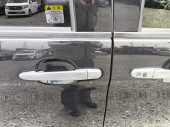TOYOTA TANK/ROOMY/THOR/JUSTY X 2020