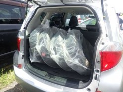 TOYOTA RACTIS G 2011