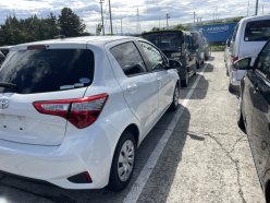 TOYOTA VITZ F 2019