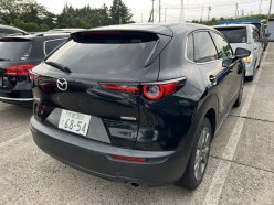 MAZDA CX-30 XD Pro Active Touring Selector 2019