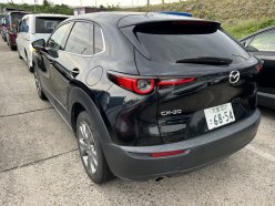 MAZDA CX-30 XD Pro Active Touring Selector 2019