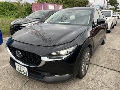 MAZDA CX-30 XD Pro Active Touring Selector 2019
