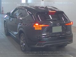 LEXUS NX300H NX300H 4WD F SPORT 2018