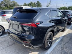 LEXUS NX300H NX300H 4WD F SPORT 2018