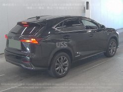 LEXUS NX300H NX300H 4WD F SPORT 2018