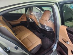 LEXUS ES300H  2020