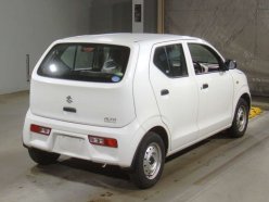 SUZUKI ALTO  2019