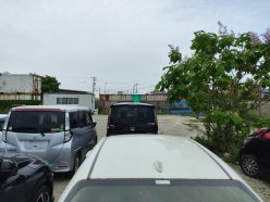 TOYOTA COROLLA G-X 2019/08