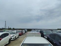 TOYOTA COROLLA G-X 2019/08