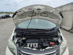 HONDA FREED 4WD G L Package 2009