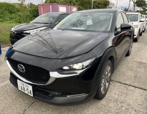 MAZDA CX-30 XD Pro Active Touring Selector 2019