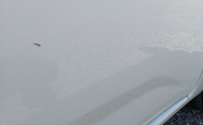 TOYOTA PASSO Moda S 4 WD 2016
