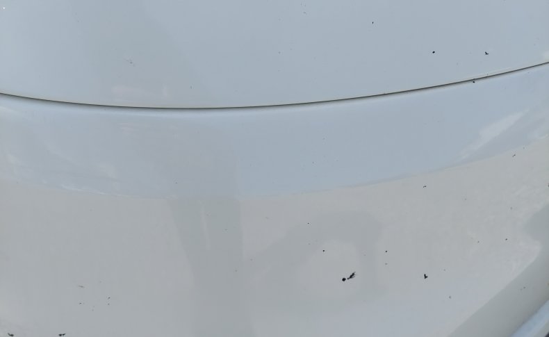 MITSUBISHI DELICA D:3  2013