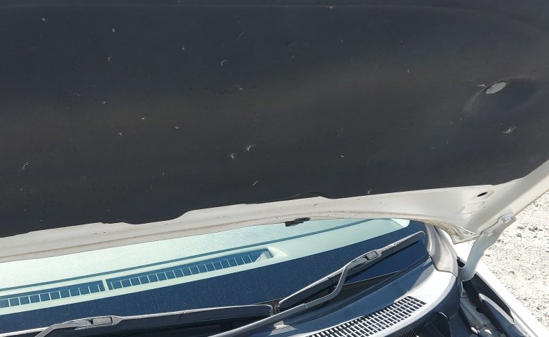 TOYOTA ALLION A15 G Package 2008