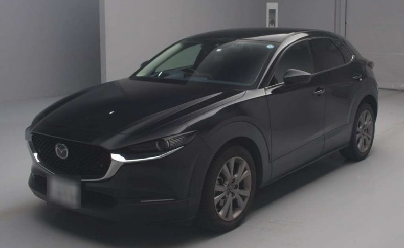 MAZDA CX-30 XD Pro Active Touring Selector 2019