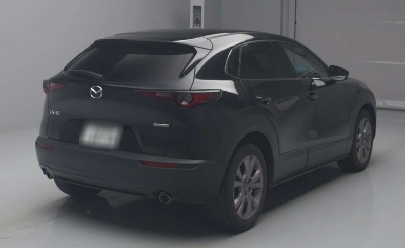 MAZDA CX-30 XD Pro Active Touring Selector 2019