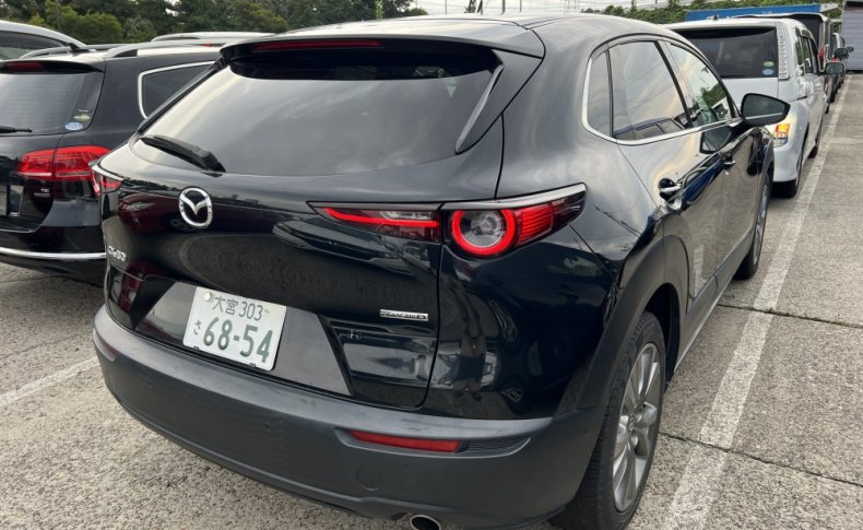 MAZDA CX-30 XD Pro Active Touring Selector 2019