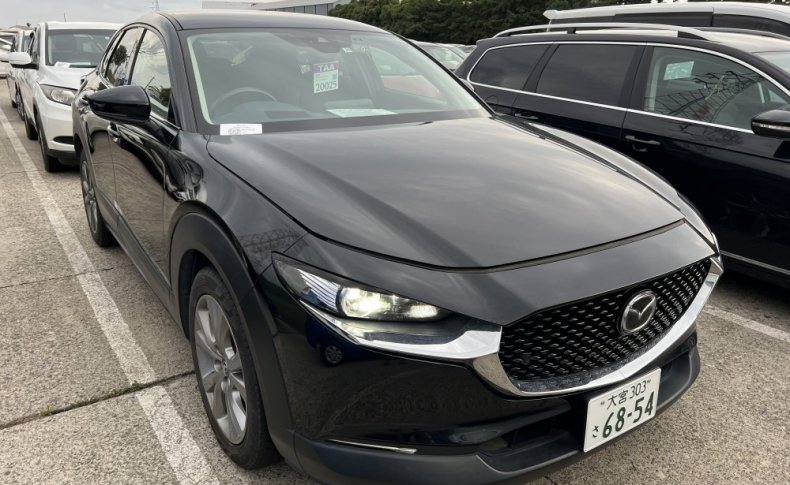 MAZDA CX-30 XD Pro Active Touring Selector 2019