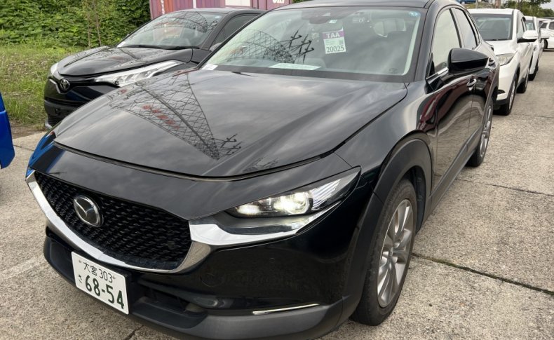 MAZDA CX-30 XD Pro Active Touring Selector 2019