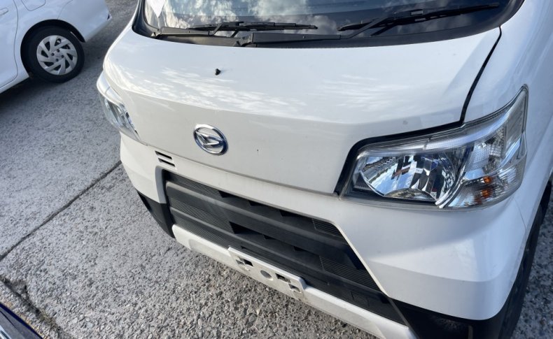 DAIHATSU HIJET DX SA3 2019
