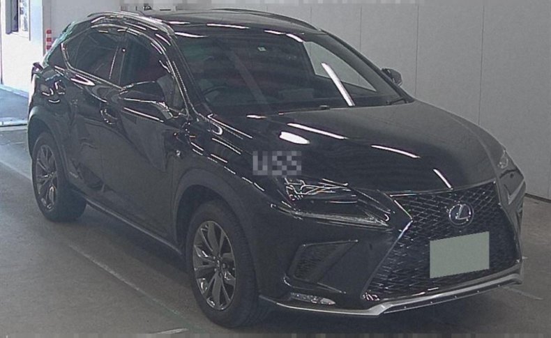LEXUS NX300H NX300H 4WD F SPORT 2018
