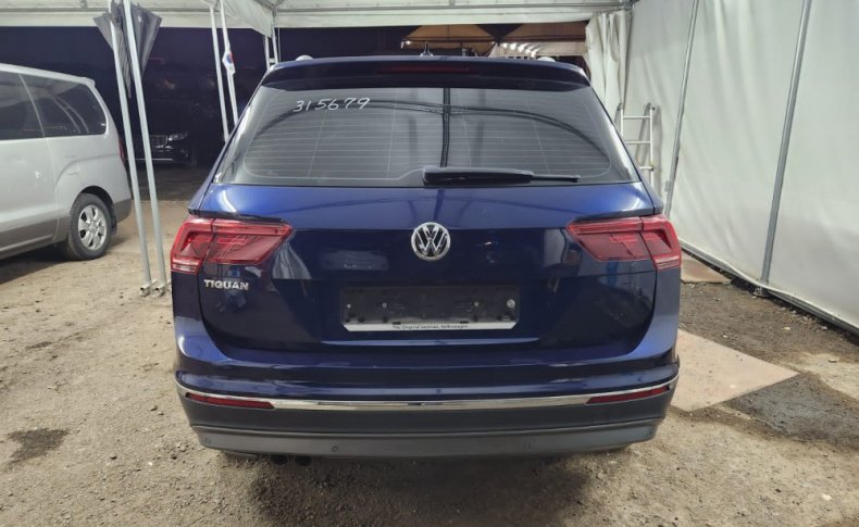 VOLKSWAGEN TIGUAN WVGZZZ5NZLW315679 2019