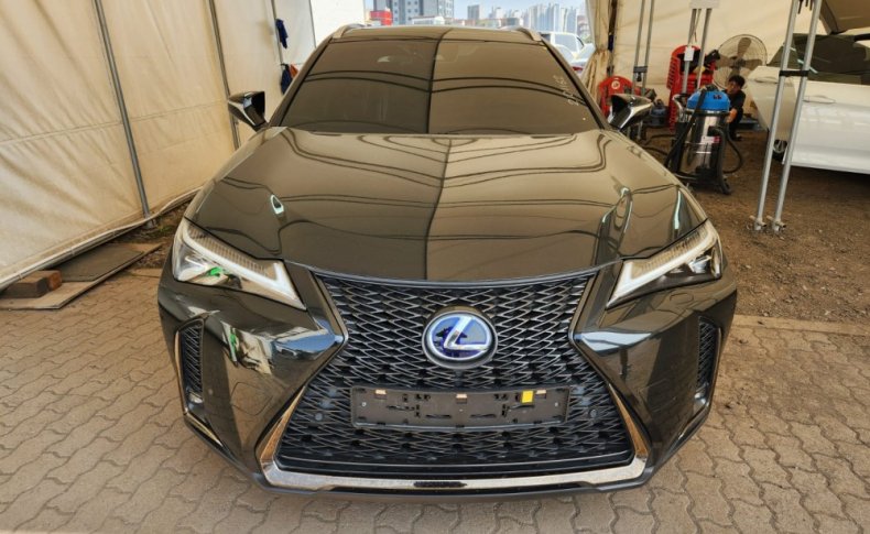 LEXUS UX250H F-SPORT 2021