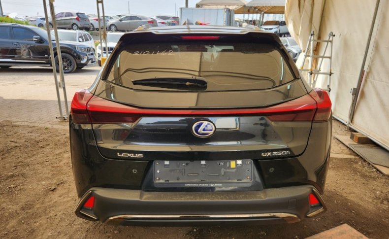 LEXUS UX250H F-SPORT 2021