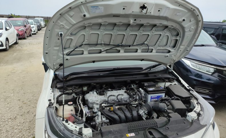 TOYOTA COROLLA G-X 2019/08