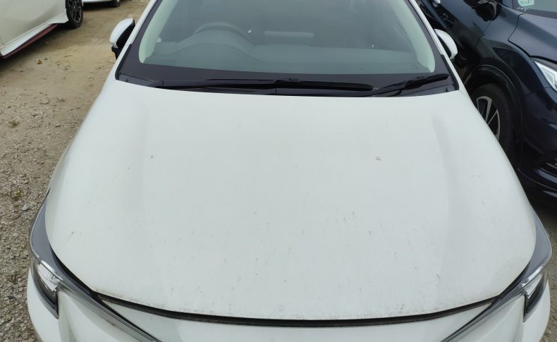 TOYOTA COROLLA G-X 2019/08
