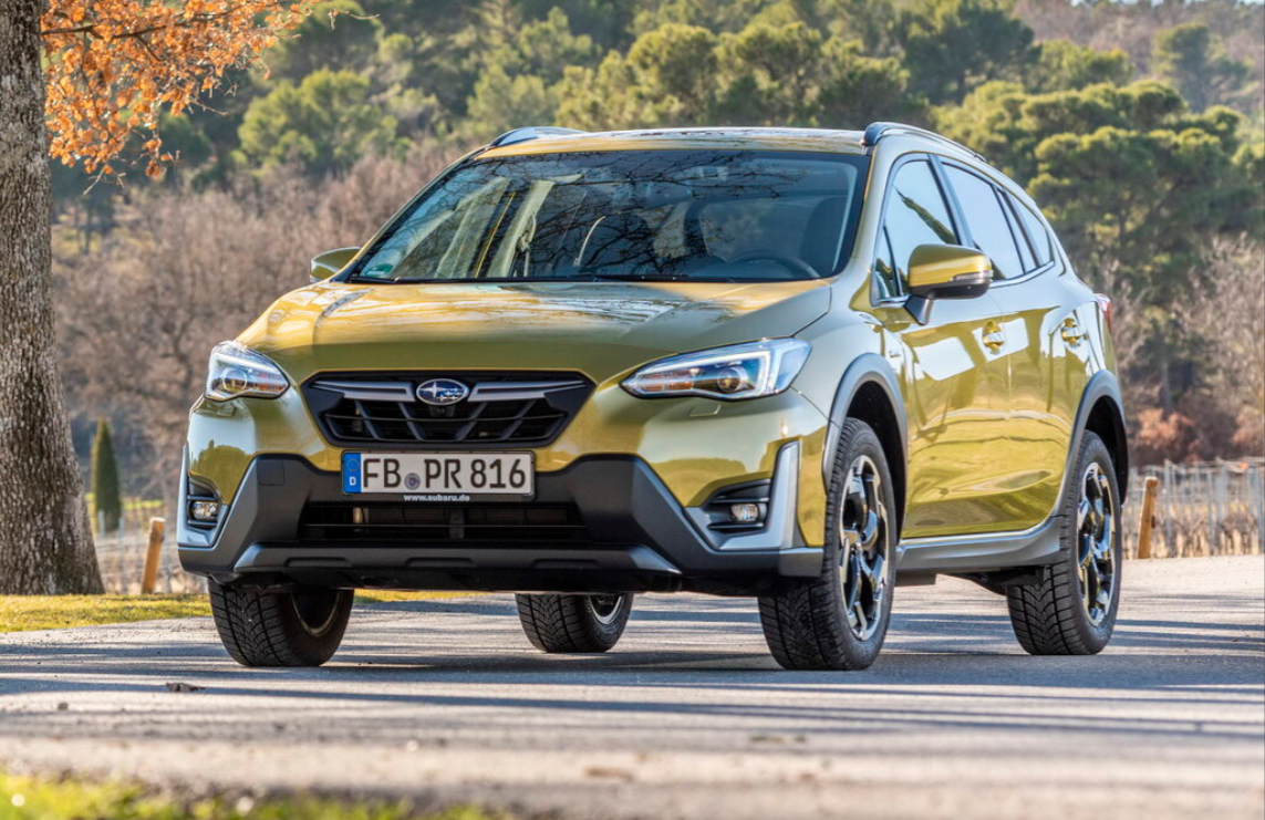 xv